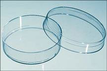 BD Falcon - Petri Dish Polystyrene - 08757100D