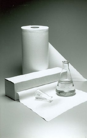 Fisherbrand* - Surface Liner 300 Foot L X 20 Inch W, Waterproof Polypropylene Backing - 1412747