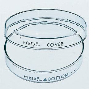 Fisher Scientific Corning Pyrex Petri Dish Glass - 08747A