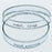 Fisher Scientific Corning Pyrex Petri Dish Glass - 08747A