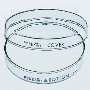 Corning Pyrex - Petri Dish Glass - 08747A