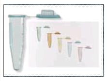 Fisher Scientific Fisherbrand Microcentrifuge Tube Conical Bottom Plain 10.8 X 40.6 mm 1.5 mL Without Color Coding Snap Cap Polypropylene Tube - 5408137