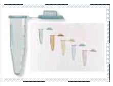 Fisher Scientific Fisherbrand Microcentrifuge Tube Conical Bottom Plain 11 X 40.6 mm 2 mL Without Color Coding Snap Cap Polypropylene Tube - 5408146