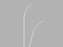 RoadRunner - Hydrophilic Guidewire Roadrunner .035 Inch Diameter 180 cm Length Long Taper Stiff Shaft - G07516