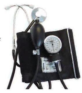Labtron - Aneroid Sphygmomanometer Combo Kit At Home Blood Pressue Kit Adult Size Cotton Cuff - 240
