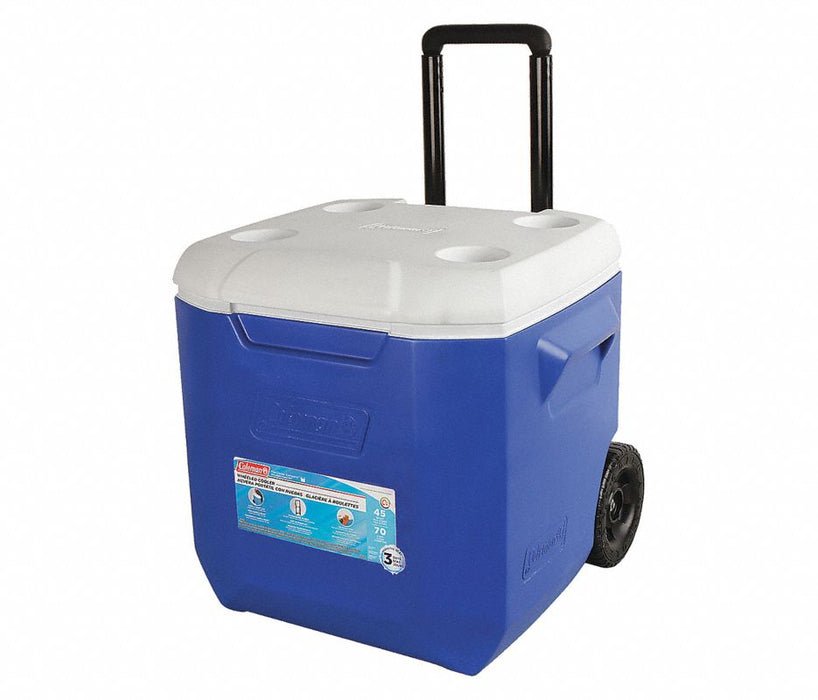 Plastic 45.0 qt. Chest Cooler