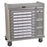 Standard Line - Medication Cart Steel 23.5 X 43 X 45.75 Inch Burgundy 17 X 27.5 Inch Left Side Drawer, 17 X 6.25 Inch Right Side Drawer - SL36BIN5SP