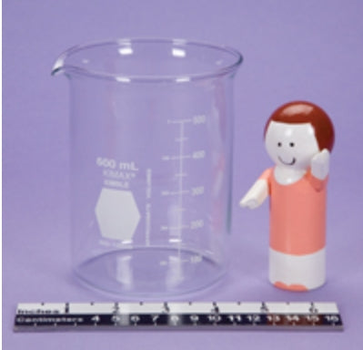 Health Care Logistics Graduated Beaker Graduated Measures Glass 600 mL - 3027