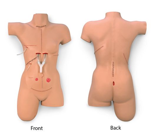 Nasco SIMULATOR, BANDAGING LIFEFORM SURGICAL SALLY - LF00929EX