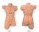 Nasco SIMULATOR, BANDAGING LIFEFORM SURGICAL SALLY - LF00929EX