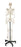 Nasco Nasco Human Skeleton - SB02011