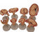 Nasco Nasco Fetus Development Set - SB47759