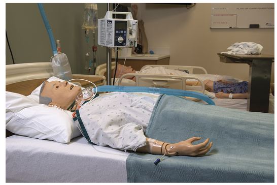 Nasco Life/Form Manikin with Carry Case Female 28 lbs. - LF04039
