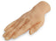 Nasco Nasco Venipuncture Training Hand - SB23499