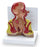 Nasco Nasco Rectum - SB35433