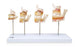 Nasco Nasco Dentition Development - SB41406
