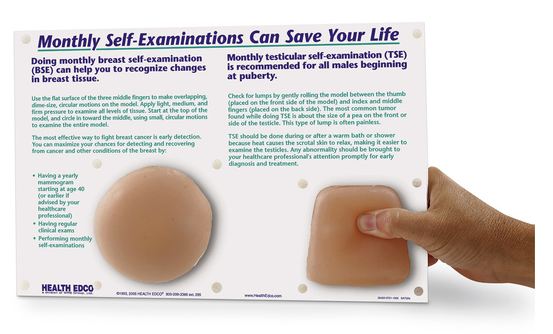 Nasco Nasco Nonsexual Breast and Testicular Self Examination - SB34569