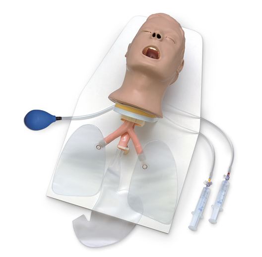 Nasco HEAD, TRAINER LIFEFORM ADVANCED AIRWAY LARRY W/STAND - LF03685
