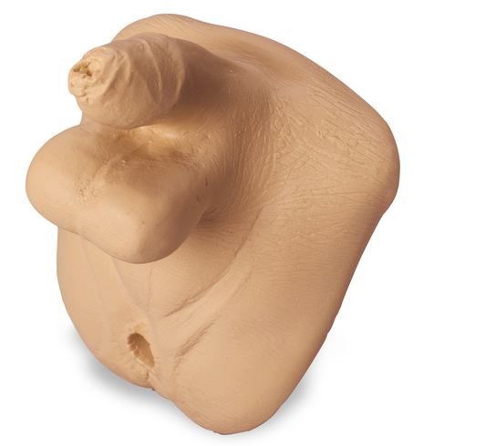 Nasco Life/Form Geri Replacement Genitalia Basic Male - LF04109