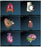 Nasco Dissectibles CD-Rom Set Interactive Dissectible Organs - SB45952