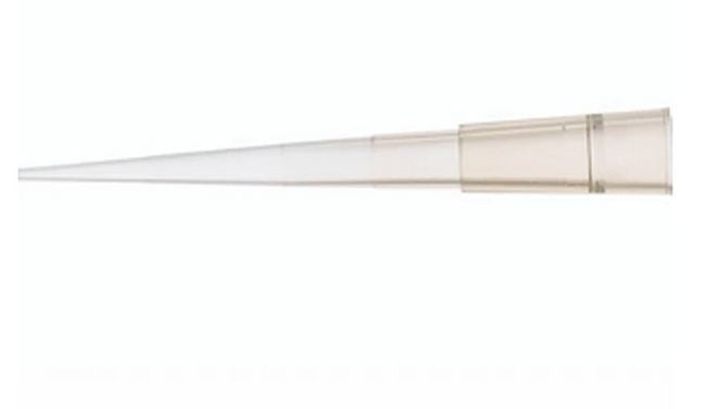 Fisher Scientific Tip, Pipette 52 L X 7 W mm, 200 µL, Yellow, Virgin polypropylene, Rack Packing Fisher/Wheaton Multichannel Micropipetters - 1370770