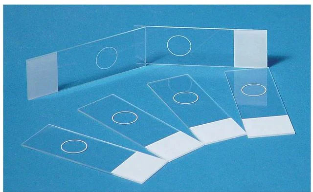 Fisherbrand - Cytology Microscope Slide 13 mm Ring Diameter White End - 22037242
