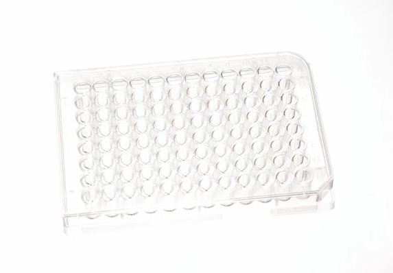 Fisher Scientific Thermo Scientific 96-Well Microplate - 12556008