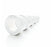 Fisher Scientific Texwipe Blank Label Printer Label Without Legend 1-1/2 X 1-1/2 Inch - NC0547246