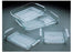 Fisher Scientific Pyrex Drying Dish 2-1/5 X 8 X 8 Inch For Drying, Staining, or as a Developing Tray - 15-242B