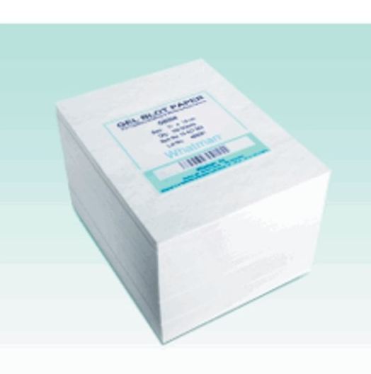 Fisher Scientific PAPER, BLOTTING GB003 GRADE WHATMAN (1/PK) - 09-925-143