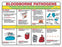 Fisher Scientific POSTER, SAFETY PRIZING BIOHAZARD BLOOD BORNE PATHOGENS - 19103293