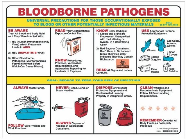 Fisher Scientific POSTER, SAFETY PRIZING BIOHAZARD BLOOD BORNE PATHOGENS - 19103293