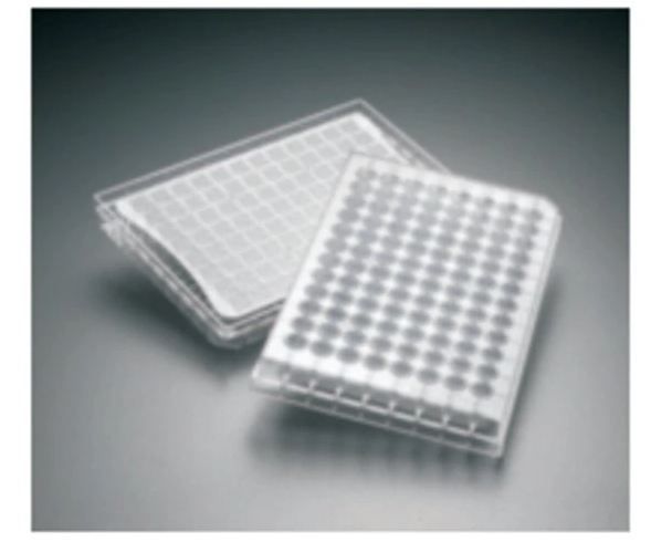 Fisher Scientific PLATE, FILTER 96WELL DYRAPOREBV MULTI SCREEN CLR 1.2 (50/PK - SBVN1250