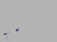 Cook Medical PICC SET, POWER INJECTION POLYPERIPHERALLY INSERTED UPICS - G34517