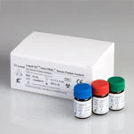 ImmuTROL - Immunology Control Kit Serum Protein 3 Levels 3 X 2 X 3 mL - 91104
