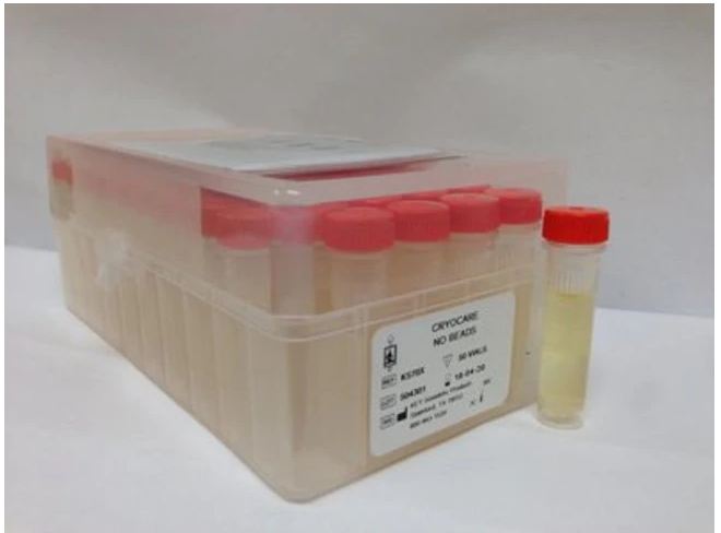 Fisher Scientific VIAL, CRYOCARE W/O BEADS (50/BX) D/S - NC9944367