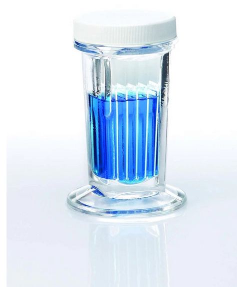 Fisher Scientific Staining Jar - 08813E