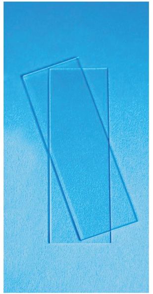Fisherbrand - Microscope Slide 25 X 75 X 1 mm Plain - 12550A3