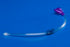 Kangaroo - Skin Level Tube Access Continuous Right Angle Feeding Set NonSterile - Cardinal - 8884741821