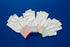 Glove Liner