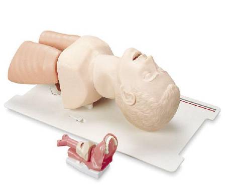 Laerdal - Airway Management Trainer - 25000033
