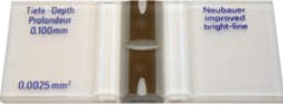 LW Scientific Hemacytometer Double Rulings, H-Shaped Moat For Counting Blood Cells - CTL-HEMM-GLDR