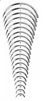 Miltex Integra Miltex Suture Needle 1/2 Circle Taper Point Needle Regular Surgeon's Type Size 10 Needle - S192A-10