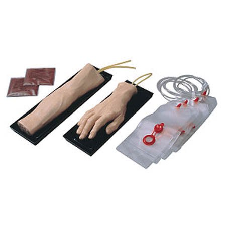 Nasco Healthcare - IV Training Arm Gender Neutral - 140-146