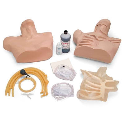 Nasco Life/Form Central Venous Cannulation Simulator 23 lbs. - LF01087