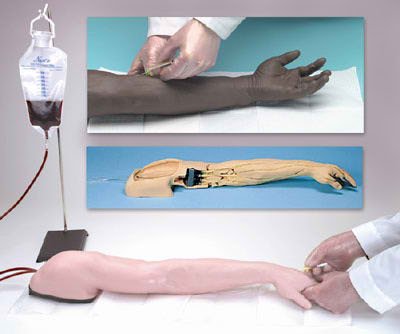 Nasco Life/Form Advanced Venipuncture and Injection Arm - LF01126