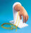 Nasco Life/Form Advanced IV Hand Model - LF01139