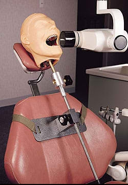 Nasco Dentoform X-Ray Dental Mannequin - SB23463