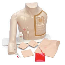 Nasco Chester Chest Mannequin - SB18636