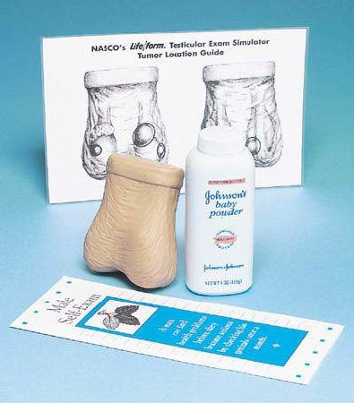 Life/Form - Testicular Exam Simulator Life/form Male - LF01143